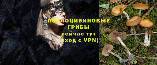 метадон Арсеньев